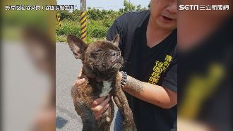 法鬥遭利用完就丟　滿身傷窩水溝角落