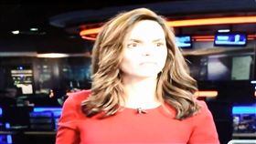 播新聞卻放送授精淫聲　女主播受驚了	（圖／翻攝自臉書）