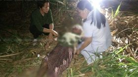 泰國一名69歲老農夫烏通日前巡田時，被一隻發情的野象撲倒硬上，他不斷掙扎仍逃不過魔爪，最後他身上多處骨折，活活被大象踩死。（圖／翻攝自khaosod）