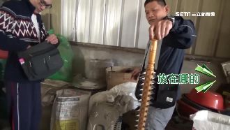 流氓元帥被逮！開假神壇販毒聚眾鬥毆