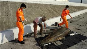 擱淺海豚遭砍頭採樣，成大教授帶回／成大海洋生物及鯨豚研究中心臉書
