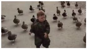 鴨子,綠頭鴨,ㄚ咪仔,迷彩服,迷彩,軍隊,戰爭,UNILAD 圖／翻攝自臉書　https://goo.gl/WzvXST