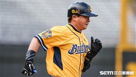 ▲中信兄弟彭政閔。 （資料照／記者林敬旻攝）