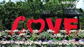  陽明山,連假,竹子湖,海芋,網美,打卡,IG 圖／北市產發局