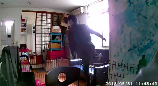 女學生裝監視器觀察狗⋯卻意外拍到⋯