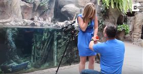 水獺助攻求婚。（圖／翻攝自YouTube）