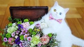 ［圖／翻攝自missypampam IG　https://www.instagram.com/p/BaMQoC4gVvq/?taken-by=missypampam］