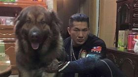 網路紅人「館長」陳之漢的愛犬「大雄」體型巨大，性格較為不受控，今年1月曾因為誤會食物被拿走，咬傷美編的手，沒想到又再發生咬人事件！日前館長在開直播時突然大吼，原來是大雄又闖禍咬傷他人，事發後館長無奈表示「可能要將大雄送養。」，引起網友熱烈討論。