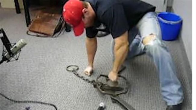跟捕獸夾比速度！　整隻被夾哀哀叫