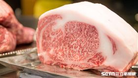 日本和牛。（圖／漢來美食提供）