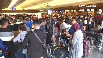 連假出國人潮增　桃機教授通關小撇步