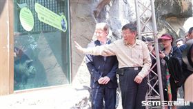 柯文哲赴動物園送猩猩到荷蘭 北市府提供
