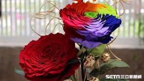 士林官邸玫瑰花季／陽明山吉野櫻 北市工務局提供