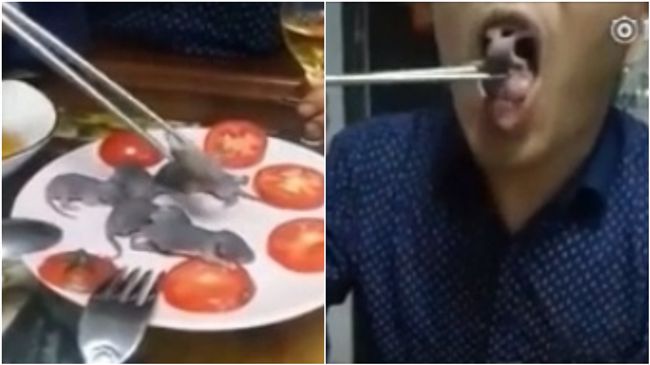 珍饈「三吱兒」超美味？男30秒活吞2隻小老鼠點頭狂比讚 | 國際 | 三立新聞網 SETN.COM