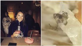 英國,歌手,席亞拉哈維,Ciara Harvie,麥當勞,得來速,漢堡,蜘蛛（圖/翻攝自太陽報、席亞拉哈維推特）