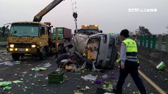 疑為閃避小狗！女駕駛自撞仍昏迷不醒