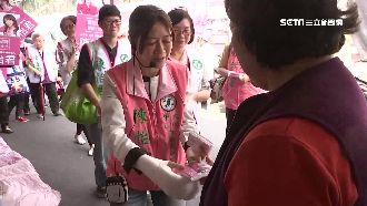 議員選情告急！民進黨7搶4初選激戰