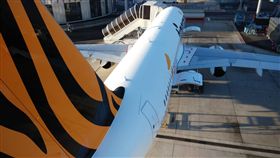 疫情持續延燒！北市又增79名接觸者（圖／翻攝自台灣虎航 臉書）