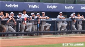 中信兄弟。（資料照／記者王怡翔攝）