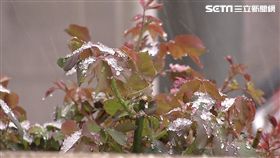 罕見!北京突降四月雪 交通航班受影響