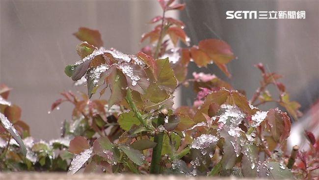 北京罕見降下4月雪　交通航班受影響