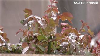 北京罕見降下4月雪　交通航班受影響