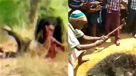 熊,印度,花農,攻擊,咬死,重傷,Nabakishore Nayak,黑熊　圖／翻攝自新紐約報影片