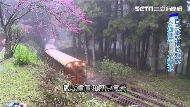 年虧3億！阿里山百年森林鐵路養護難