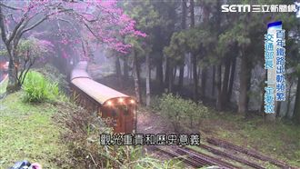 年虧3億！阿里山百年森林鐵路養護難