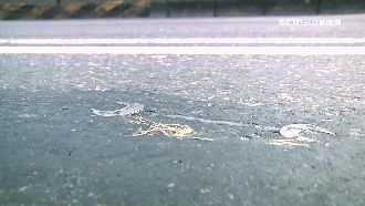 撿不起來！扳手「鑲」在柏油上這哪招