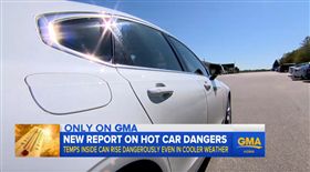 嬰兒鎖車內熱死／ABC News