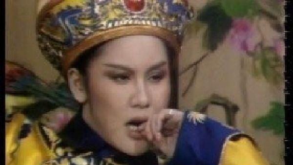 妹代捐1800萬　陳麗麗遺愛人間