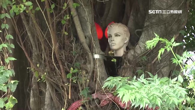 楠梓百慕達詭異「拜人頭」　騎士超毛