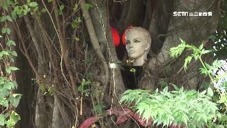 楠梓百慕達詭異「拜人頭」　騎士超毛