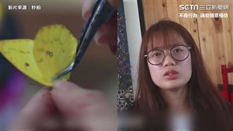活蝴蝶作畫！女大生畢業作品引爭議