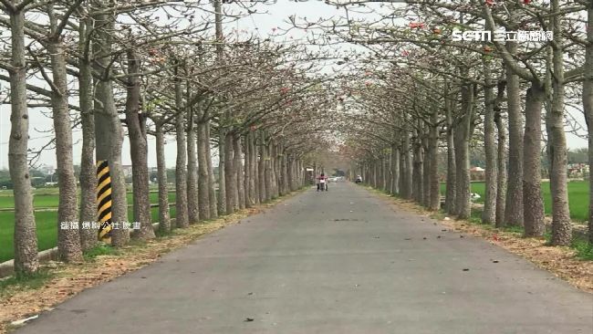白河木棉都花謝還收費？社區遭控違法