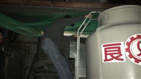 台北,蜘蛛盜,垂降,竊盜