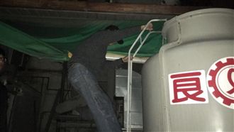 簡直演電影！蜘蛛盜身手俐落無孔不入