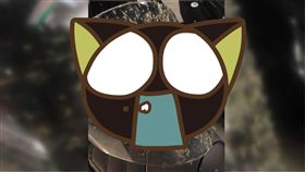 西濱,台61線,全罩,安全帽,昆蟲,蚊子,環島,台中,台南,爆廢公社 圖／翻攝自爆廢公社二館