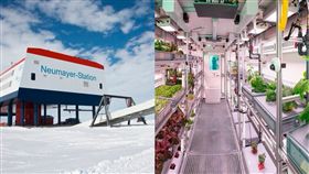 太空,蔬果,NASA,德國,DLR,Neumayer Station III,種植,陽光,土壤,　圖／翻攝自推特　https://goo.gl/p1uyoS