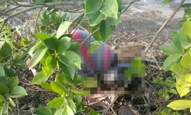 台南高分院,梁文約,北投,泡溫泉,關西,下藥,果汁,殺人,棄屍,勒斃,