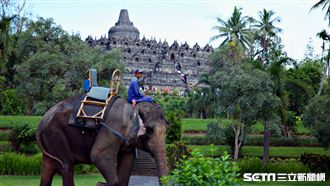 埃及金字塔不稀奇　印尼金字塔看過嗎