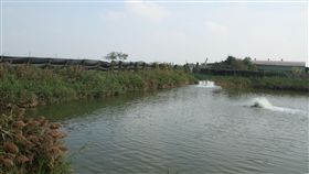 低溫來襲  雲嘉南養殖業防寒害依據中央氣象局預報，各地在9日至11日氣溫偏低，台南沿海在幅射冷卻效應下，清晨可能出現攝氏10度以下低溫。台南養殖漁民在魚塭北側搭蓋防風棚等防寒措施，希望減少損害。中央社記者楊思瑞攝  107年1月8日