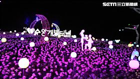 垂楊介星光隧道,韓國旅遊,丹陽。（圖／記者簡佑庭攝）