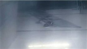 恐怖！50公斤重玻璃門突倒下　6歲女童被壓傷頭顱骨折　圖／翻攝梨視頻