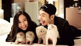 Angelababy,楊穎,黃曉明（圖/翻攝自微博）