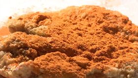 f恐怖髒髒雞1200