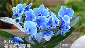 2018臺灣國際蘭展FB