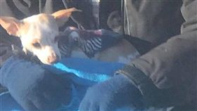 圖／翻攝自Angel Janes臉書