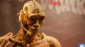 知名人體展遺體　驚傳為虐死政治犯（圖／翻攝自太陽報）